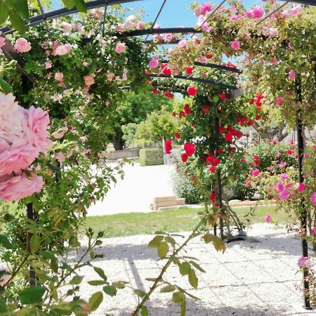 Gite En Provence Lavande Modene Экстерьер фото