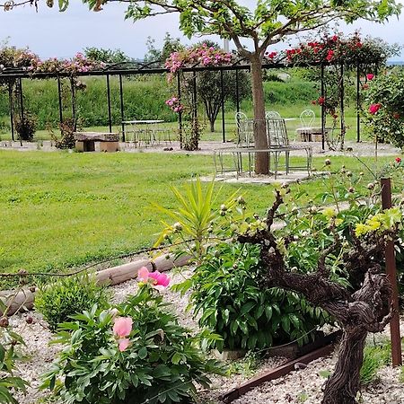 Gite En Provence Lavande Modene Экстерьер фото